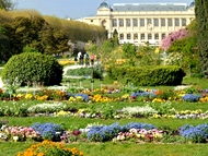 Jardin des plantes. Paris