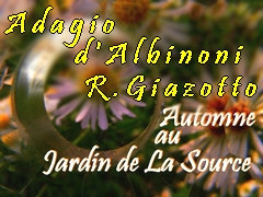 Adagio d'Albinoni  Remo Giazotto