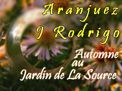 Concerto d'Aranjuez  Joaqun Rodrigo