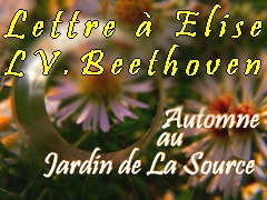 lettre  Elise LV Beethoven