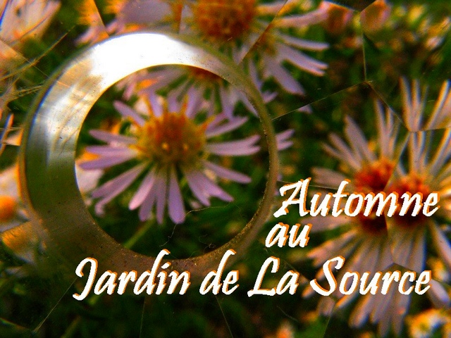 musiques d'automne au Jardin de La Source