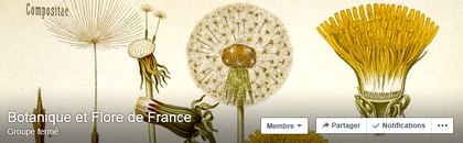 Botanique et flore de France.