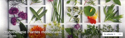 Phytothrapie Plantes mdicinales.